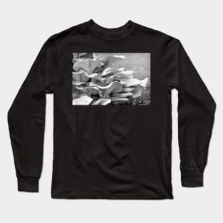 Magnificent Strata Long Sleeve T-Shirt